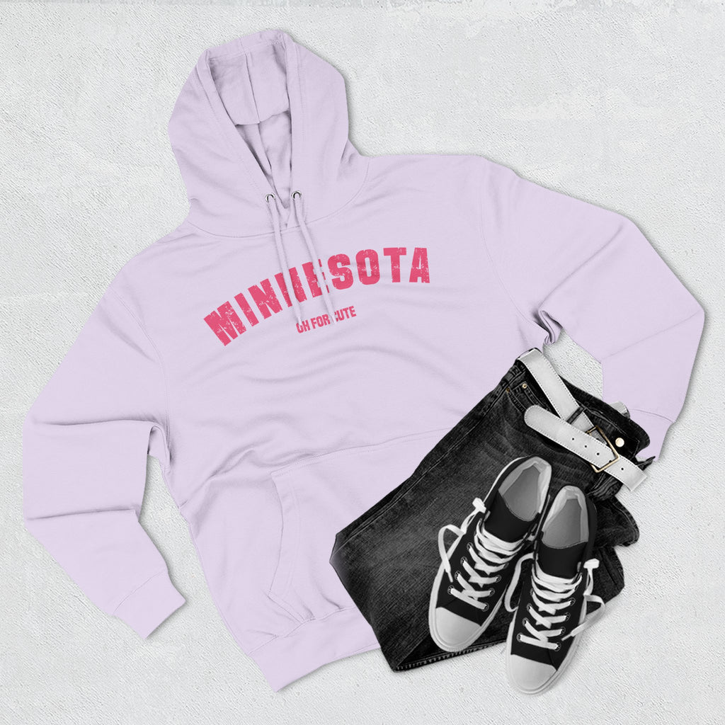 Lilac Minnesota hoodie styled flat with denim and trainers, pink varsity MINNESOTA over LAKE LIFE